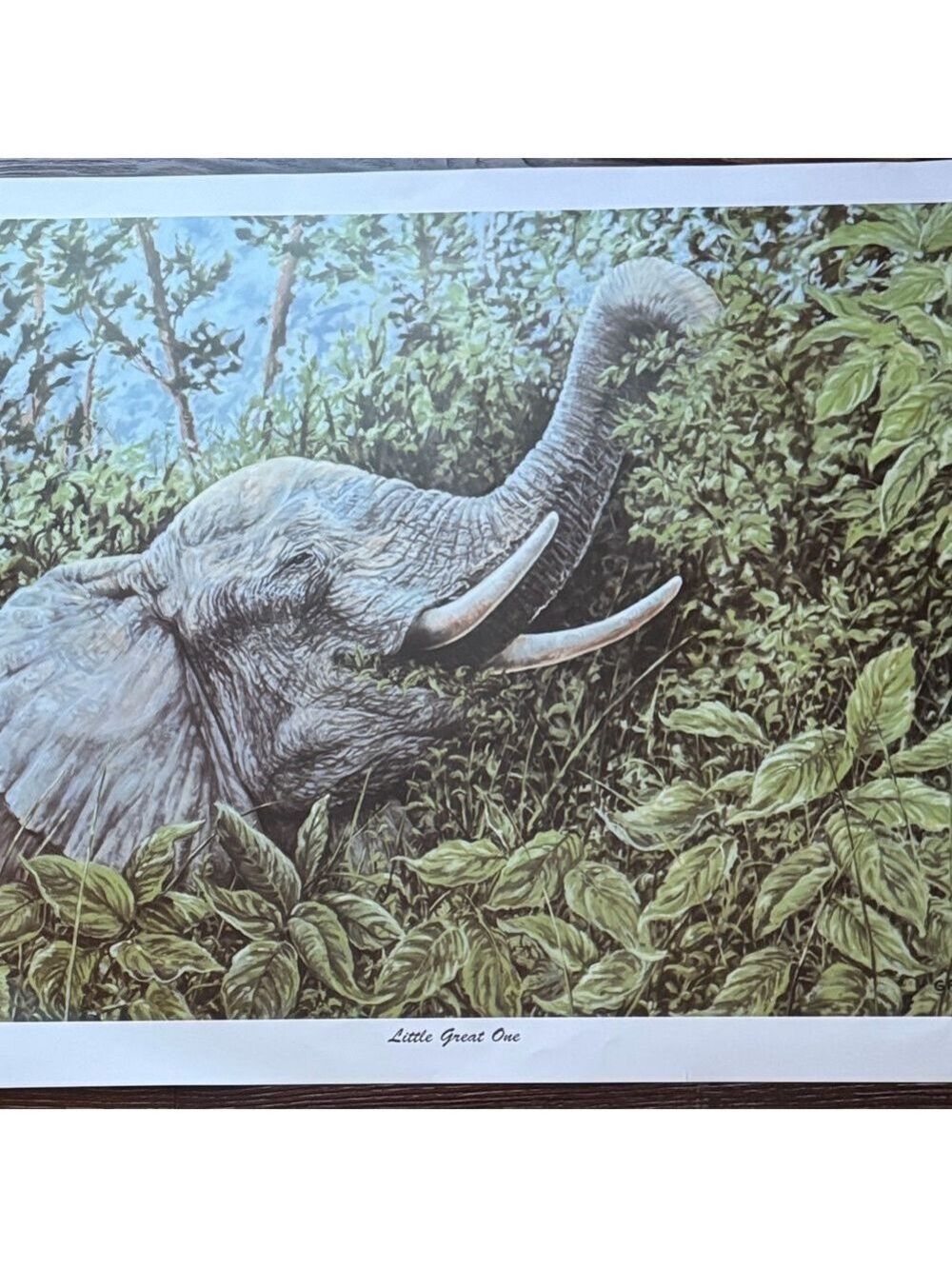 Elephant Art Print Signed And Numbered By Gail AdamsGreen Approx 29x21 inches